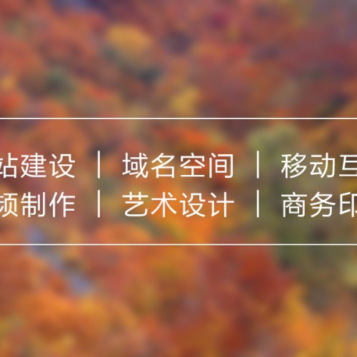服务项目